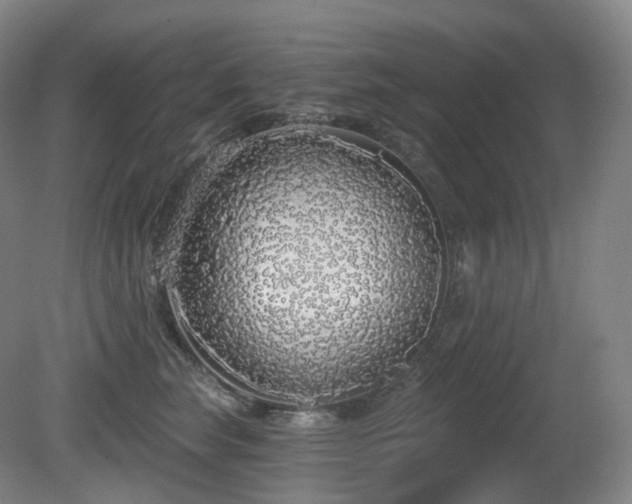 X0000081600663200701151340