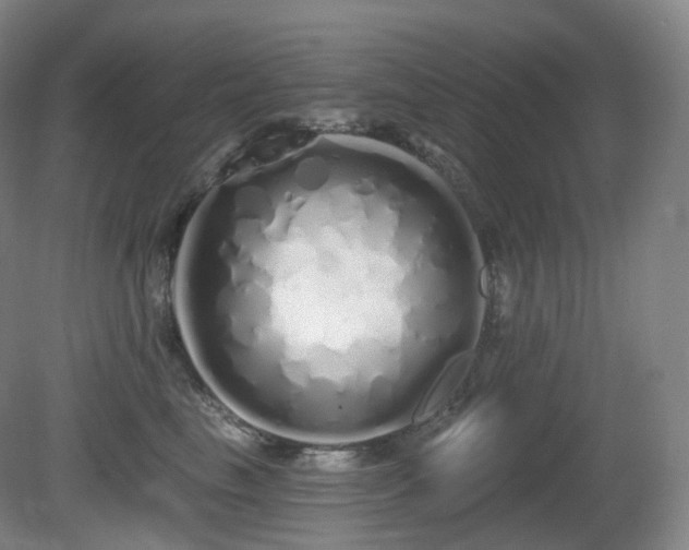 X0000081600665200701151340