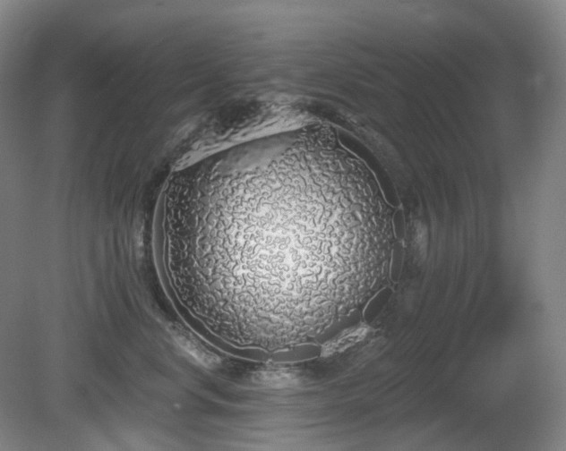 X0000081600668200701151340