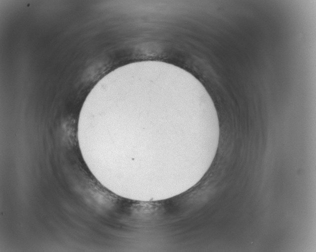 X0000081600672200701151341