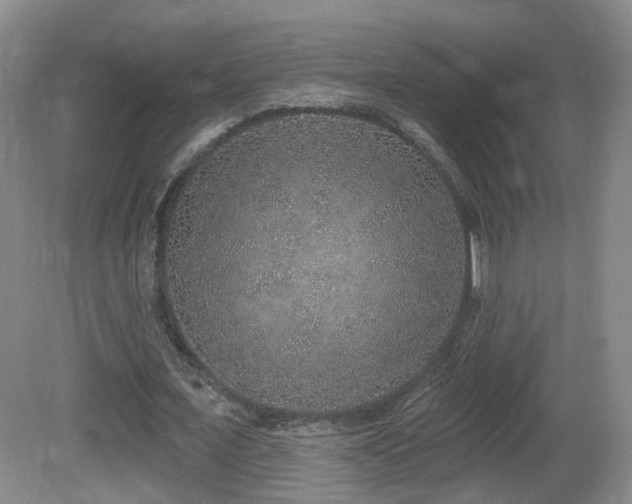 X0000081600675200701151340