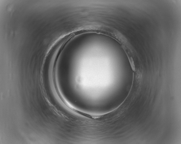 X0000081600676200701151340