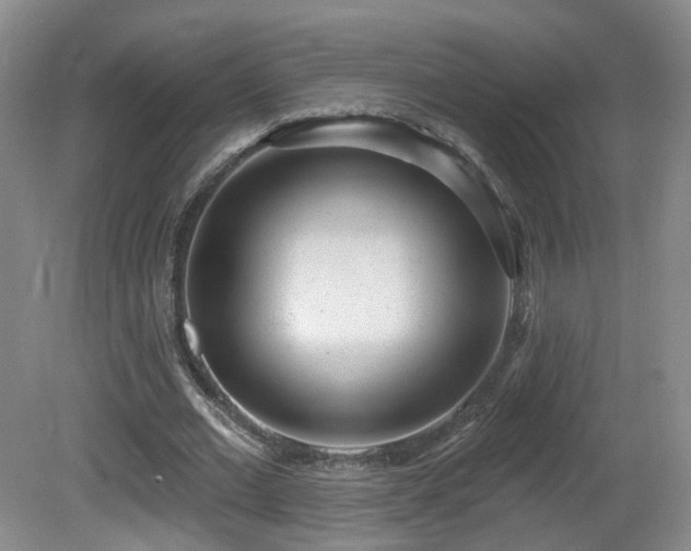 X0000081600677200701151340