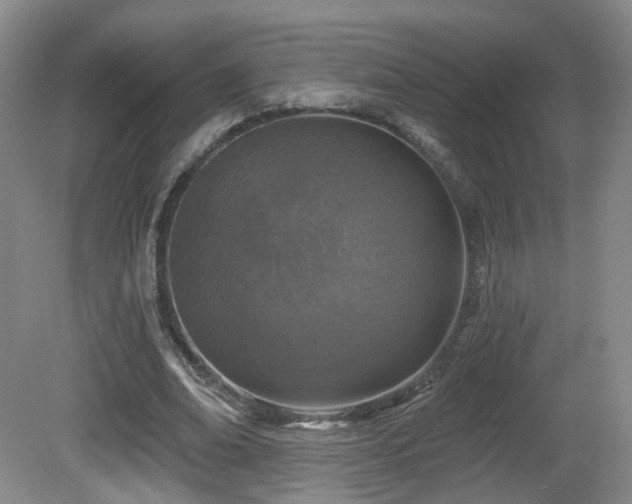 X0000081600678200701151340