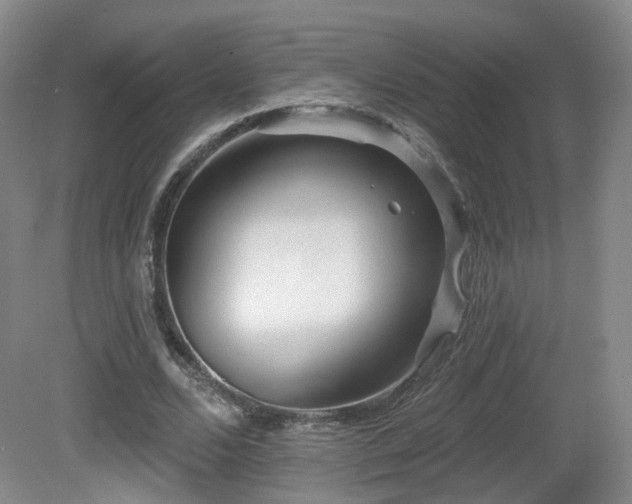 X0000081600680200701151340