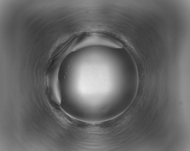 X0000081600685200701151339
