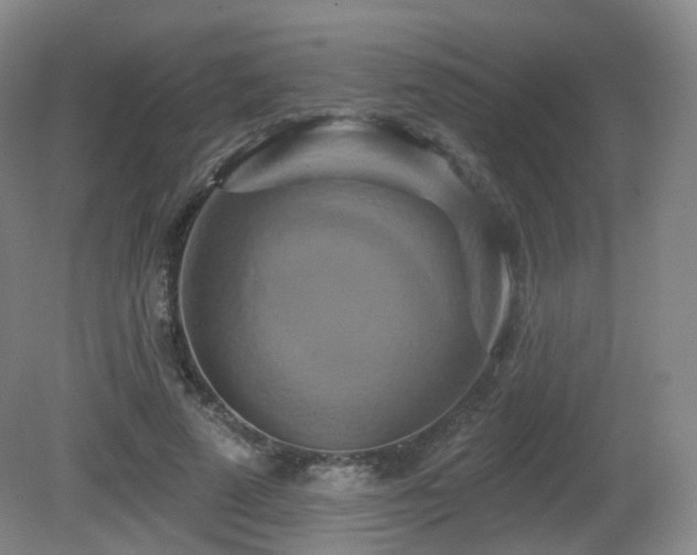 X0000081600689200701151339