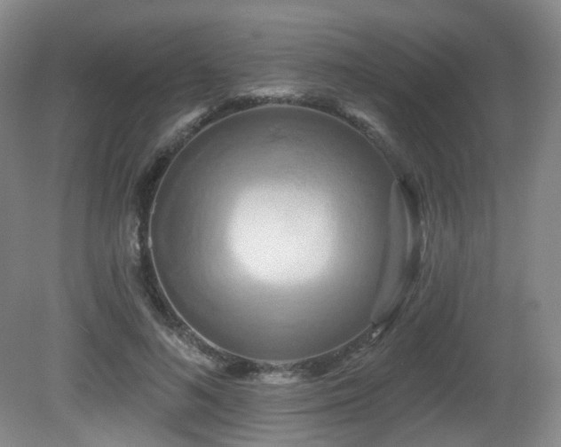 X0000081600692200701151339