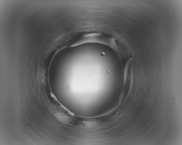 X0000081600693200701151339