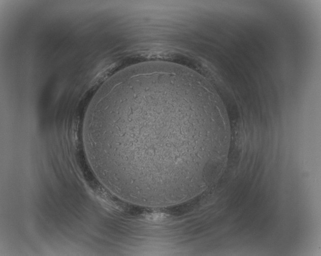 X0000081600695200701151339