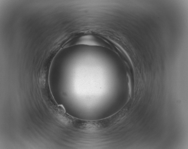 X0000081600697200701151339