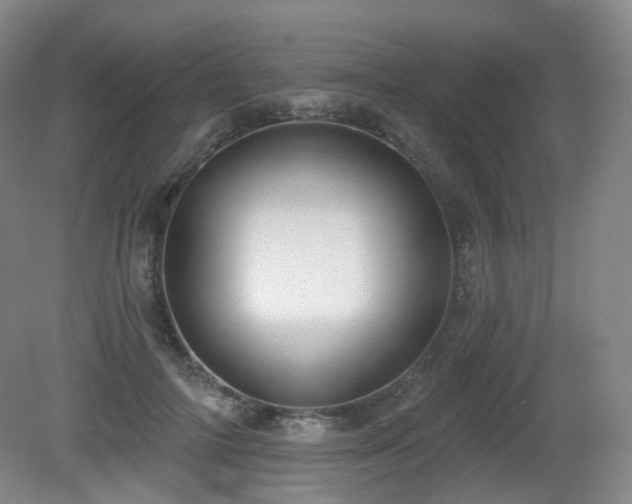 X0000081600698200701151339