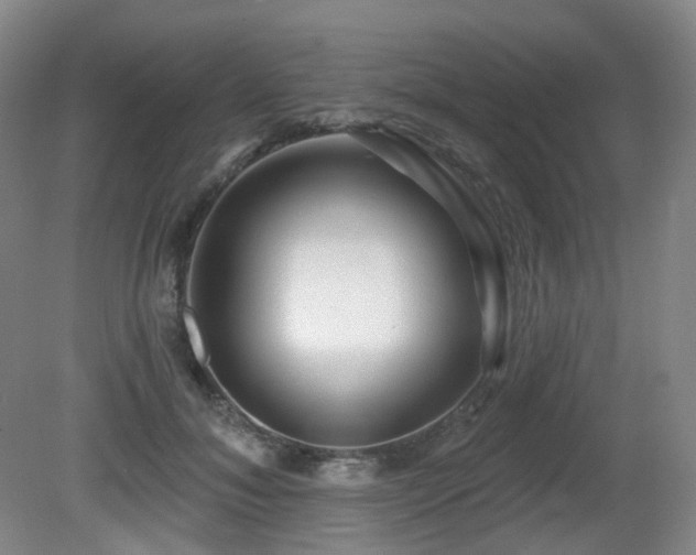 X0000081600700200701151339
