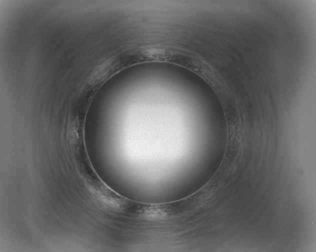X0000081600702200701151339