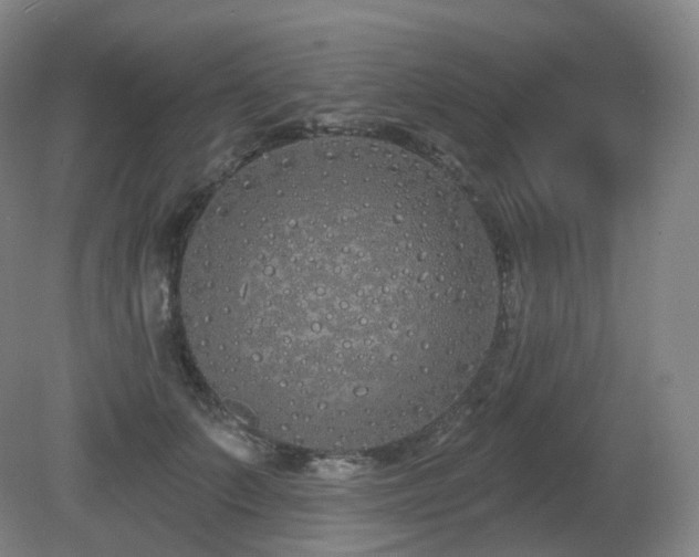 X0000081600703200701151339