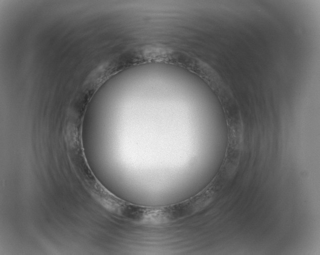 X0000081600705200701151339