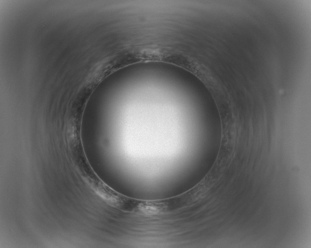 X0000081600706200701151339