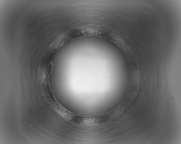 X0000081600709200701151339