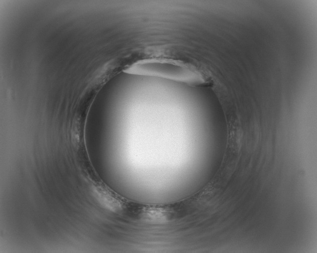 X0000081600710200701151339