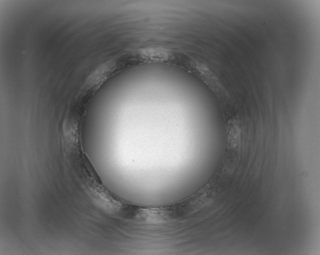 X0000081600713200701151339