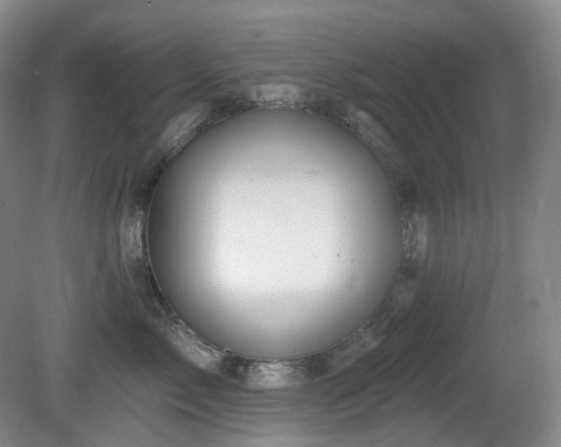 X0000081600717200701151339