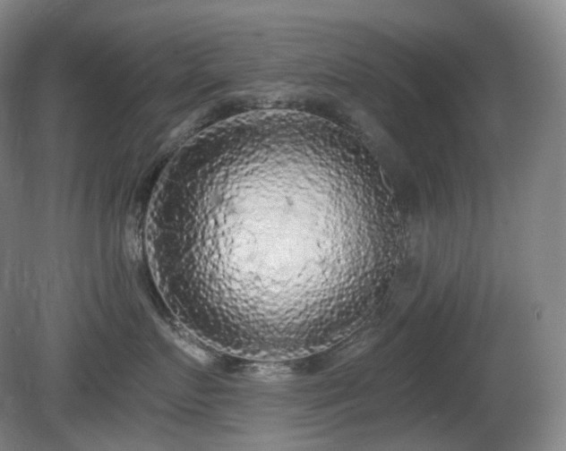 X0000081600719200701151339