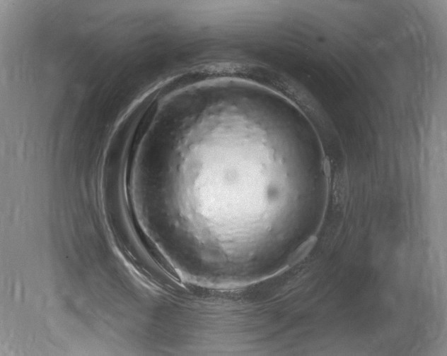 X0000081600722200701151338