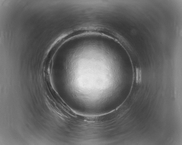 X0000081600723200701151338