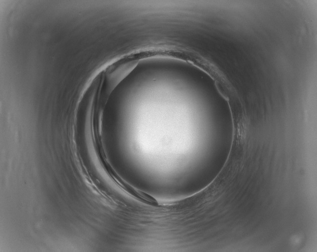 X0000081600724200701151338