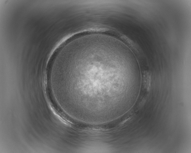 X0000081600726200701151338