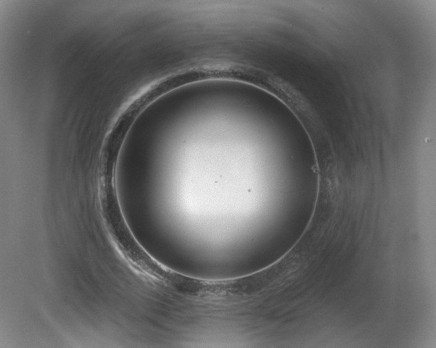 X0000081600728200701151338