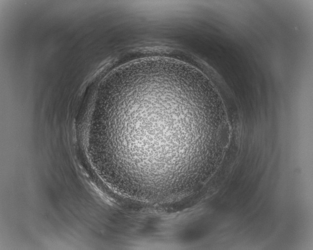 X0000081600729200701151338