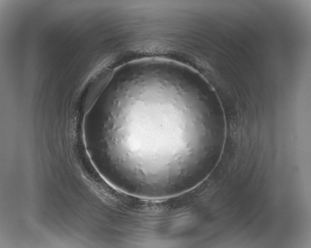 X0000081600735200701151338