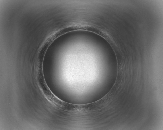 X0000081600736200701151338
