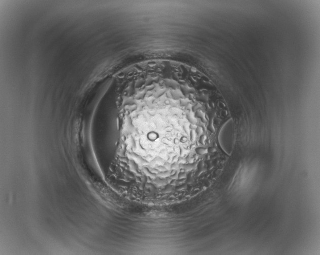 X0000081600742200701151338