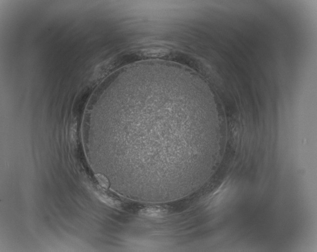 X0000081600745200701151338