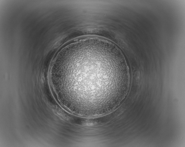X0000081600746200701151338