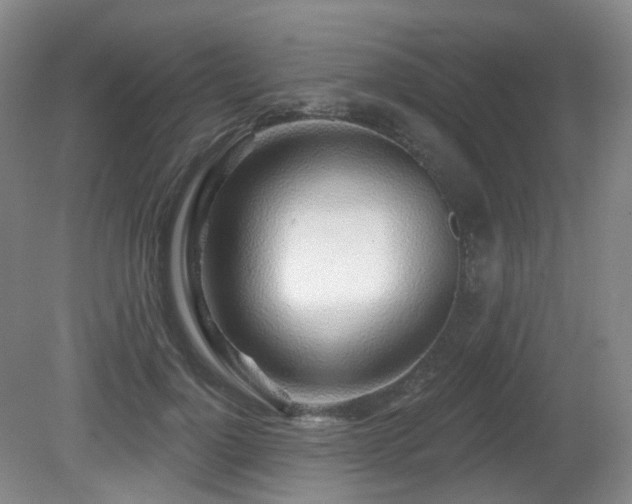 X0000081600748200701151339