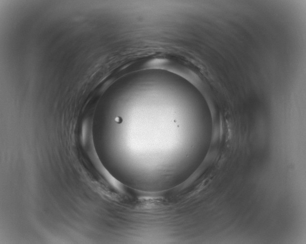 X0000081600750200701151339