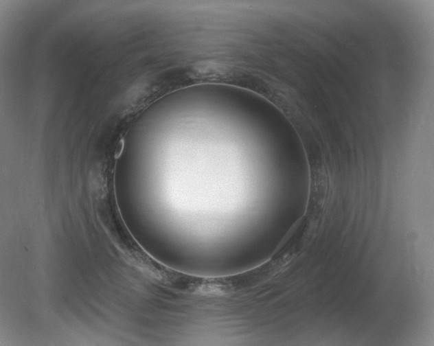 X0000081600751200701151339