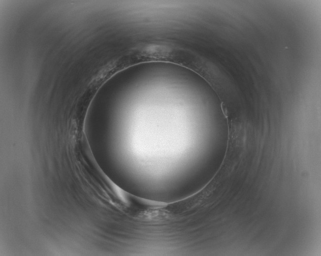 X0000081600752200701151339