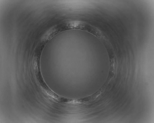 X0000081600754200701151339