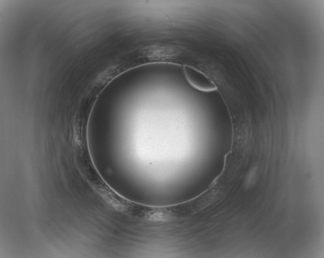 X0000081600755200701151339