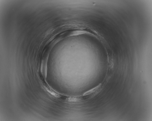 X0000081600766200701151339