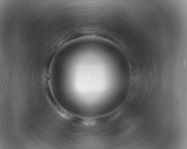 X0000081600767200701151339