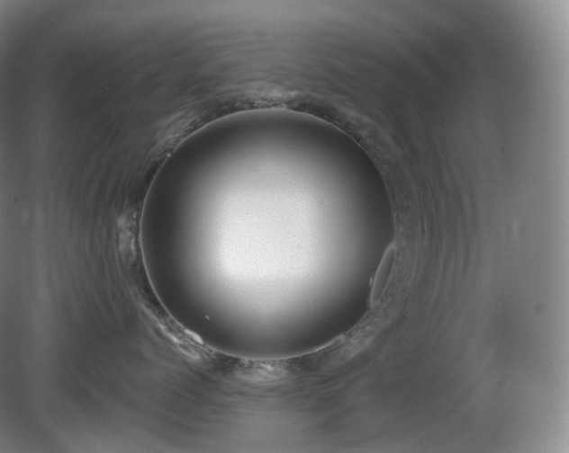 X0000081600768200701151339