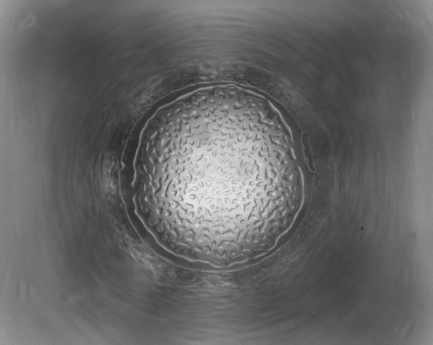 X0000081600770200701151338