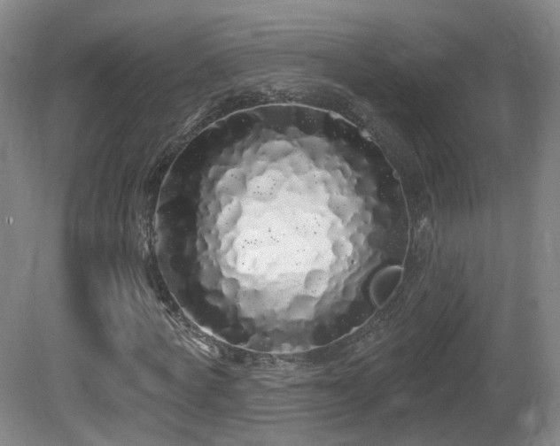 X0000081600772200701151338