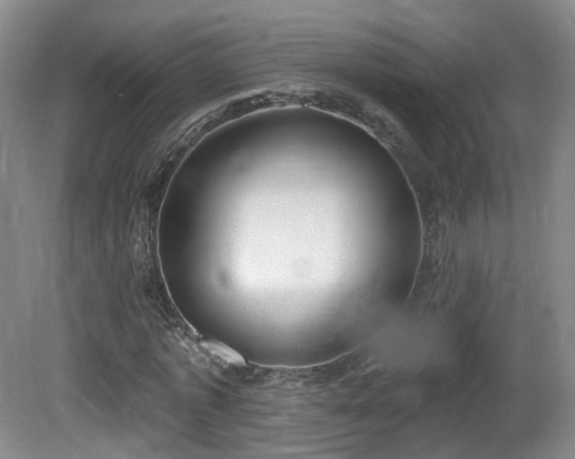 X0000081600773200701151338
