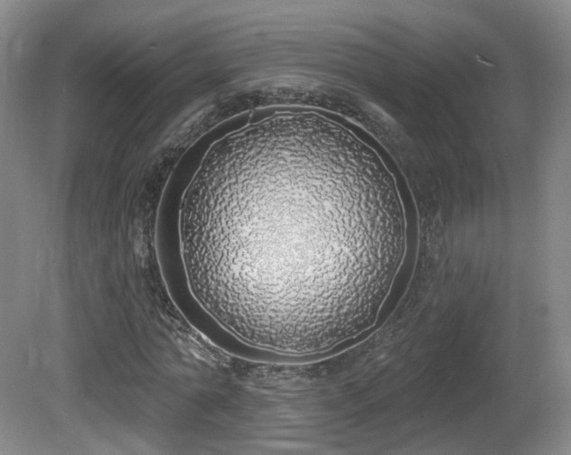 X0000081600774200701151338